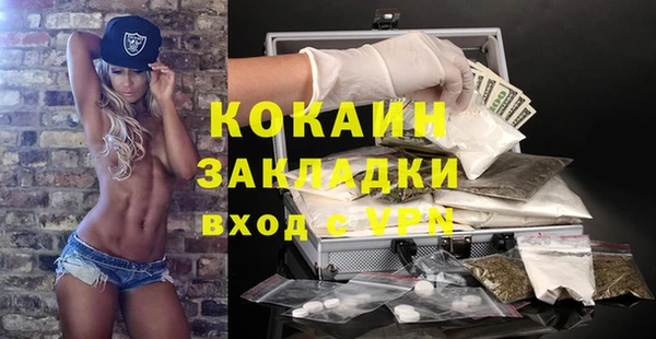 эйфоретик Алзамай