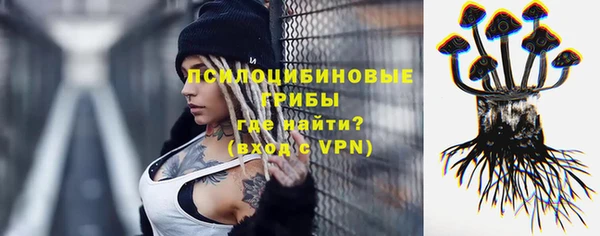 эйфоретик Алзамай