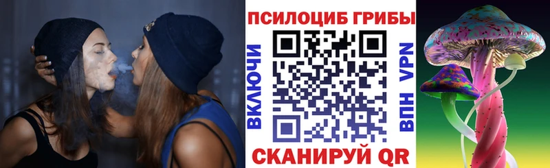 купить   Тавда  Галлюциногенные грибы Cubensis 