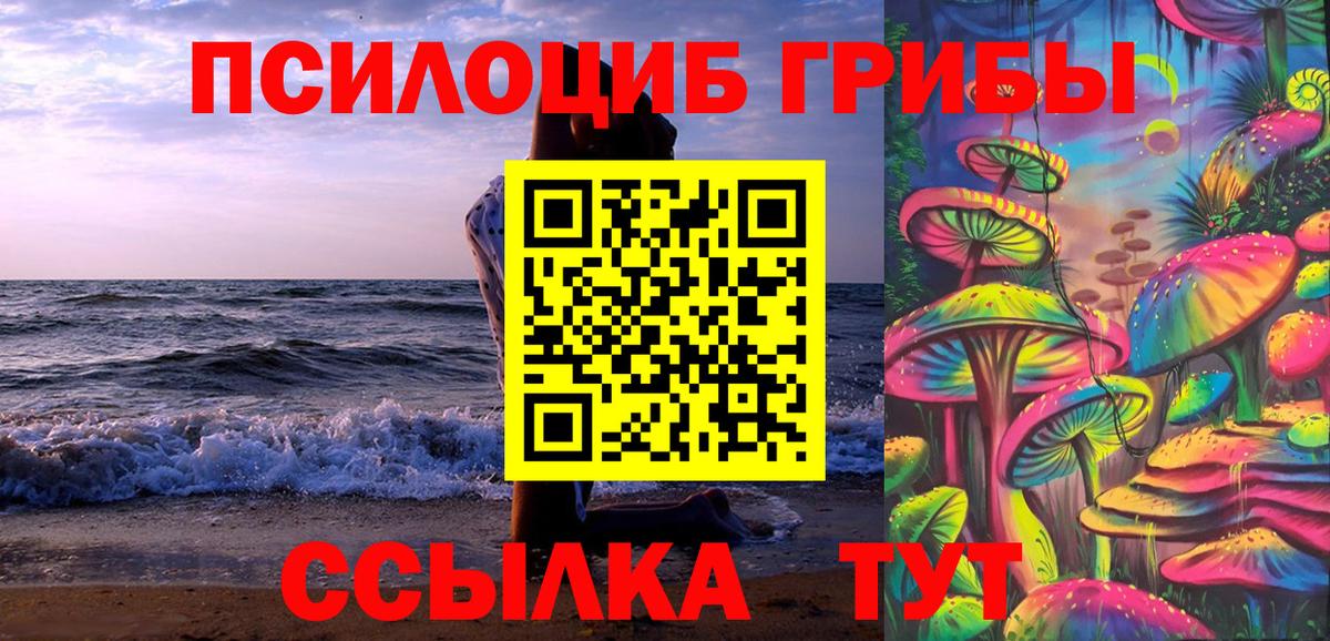 Галлюциногенные грибы Psilocybine cubensis Тавда