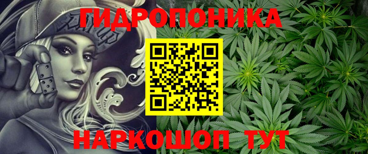 Тавда  Бошки марихуана LSD WEED  Канабис Bruce Banner  Шишки марихуана план  Вход с VPN  МАРИХУАНА MAZAR 